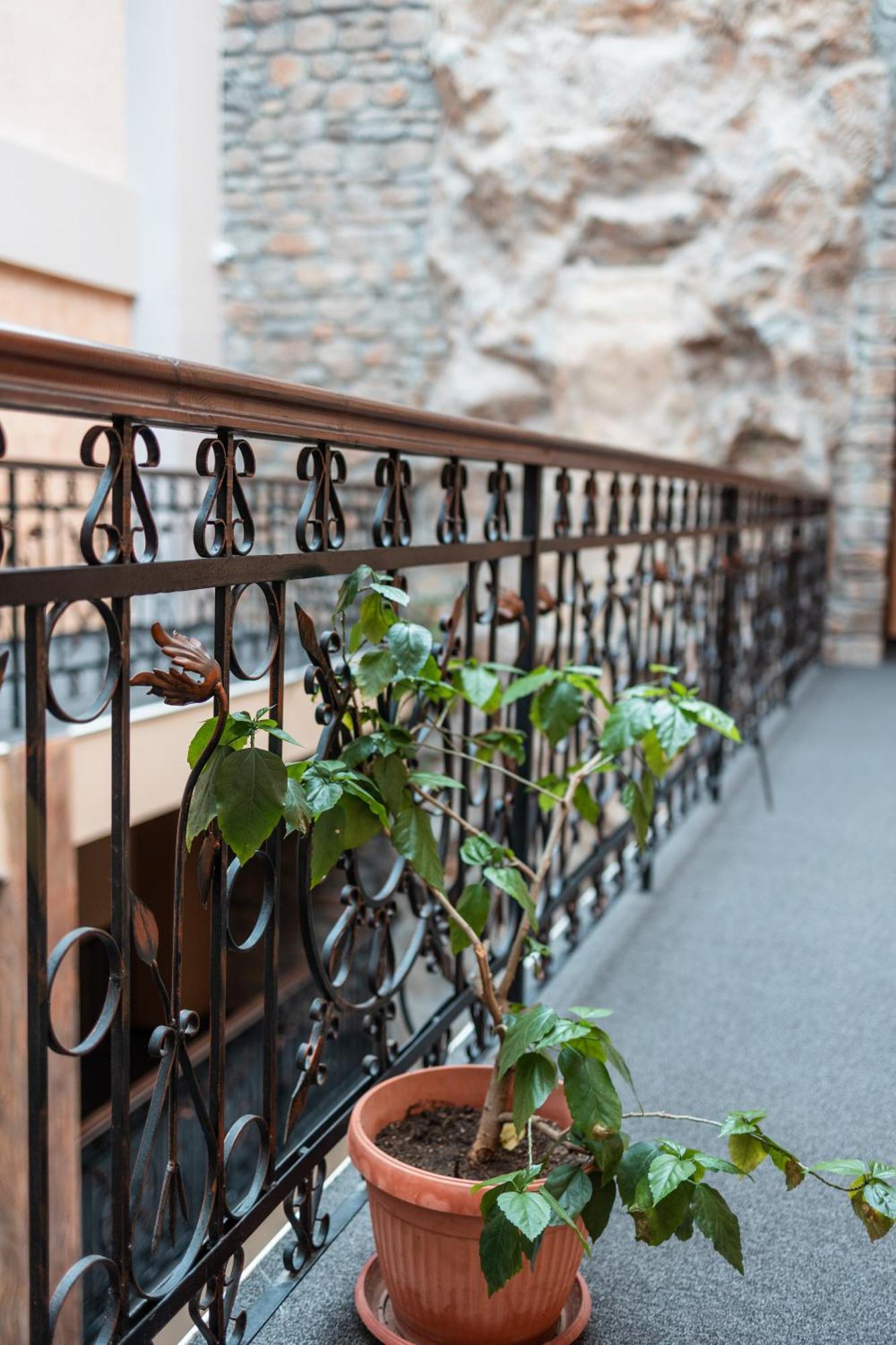 Hotel Neptun Vidin